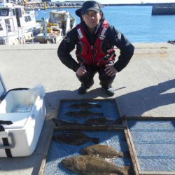 大進丸（愛知） 釣果