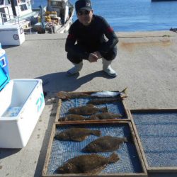 大進丸（愛知） 釣果