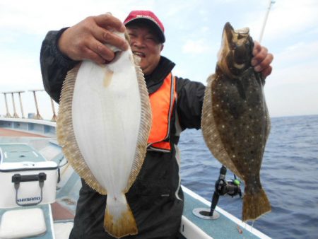 大進丸（愛知） 釣果
