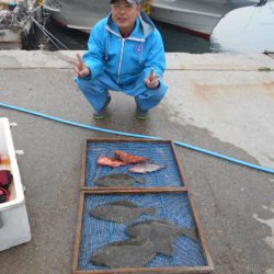 大進丸（愛知） 釣果