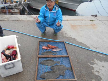 大進丸（愛知） 釣果
