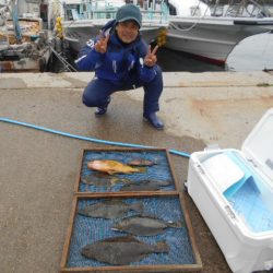 大進丸（愛知） 釣果