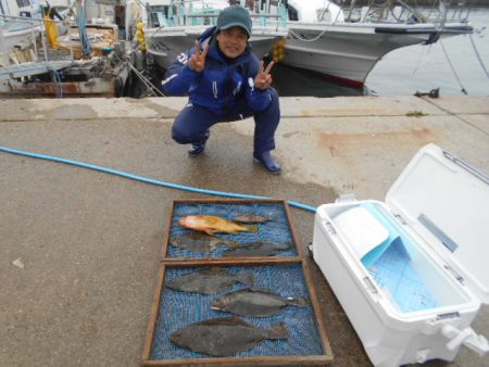 大進丸（愛知） 釣果
