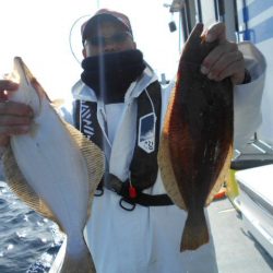 大進丸（愛知） 釣果