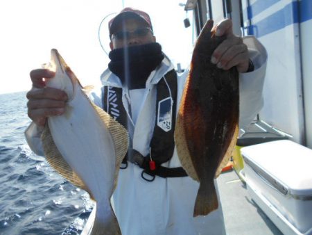 大進丸（愛知） 釣果