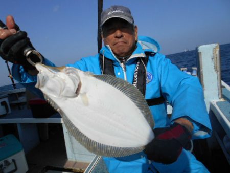 大進丸（愛知） 釣果