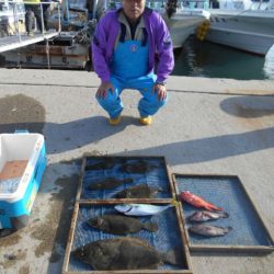 大進丸（愛知） 釣果