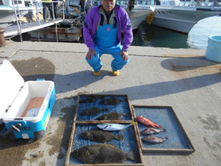 大進丸（愛知） 釣果