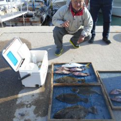 大進丸（愛知） 釣果