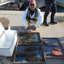 大進丸（愛知） 釣果