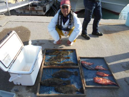 大進丸（愛知） 釣果