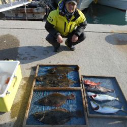 大進丸（愛知） 釣果