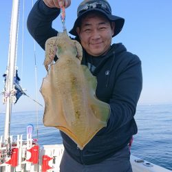 フィッシングボートACE(エース) 釣果