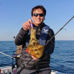 フィッシングボートACE(エース) 釣果