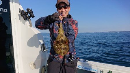 フィッシングボートACE(エース) 釣果