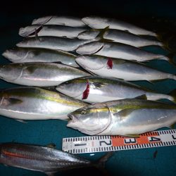 アジアマリンサービス 釣果