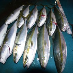 アジアマリンサービス 釣果