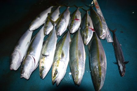 アジアマリンサービス 釣果