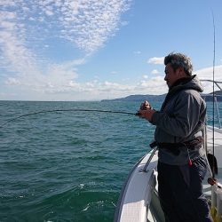 フィッシングボートACE（エース） 釣果