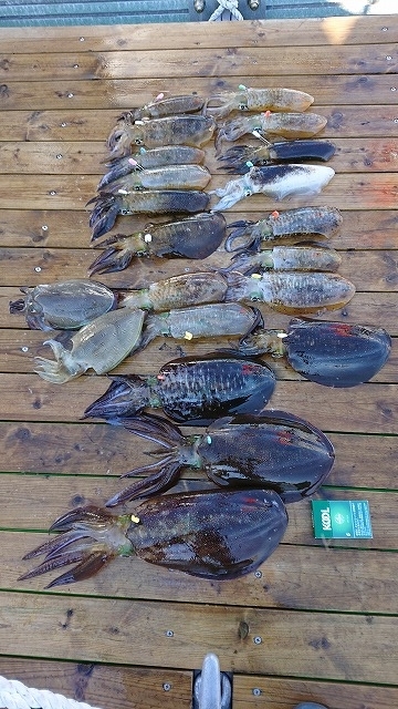 フィッシングボートACE（エース） 釣果