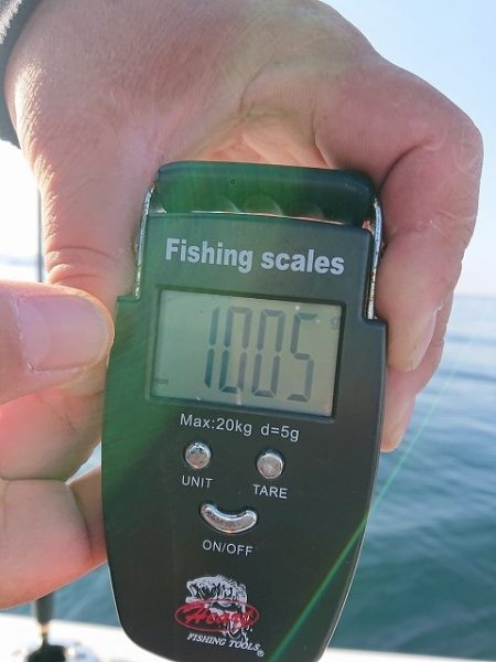 フィッシングボートACE(エース) 釣果