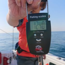 フィッシングボートACE(エース) 釣果