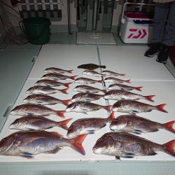 フィッシングボートACE（エース） 釣果