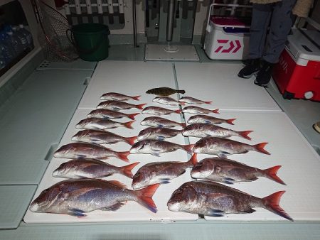 フィッシングボートACE（エース） 釣果