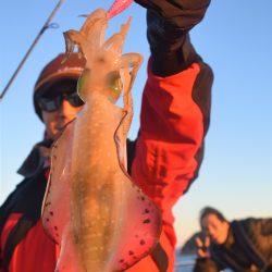 Fisherman Dreams DI 釣果