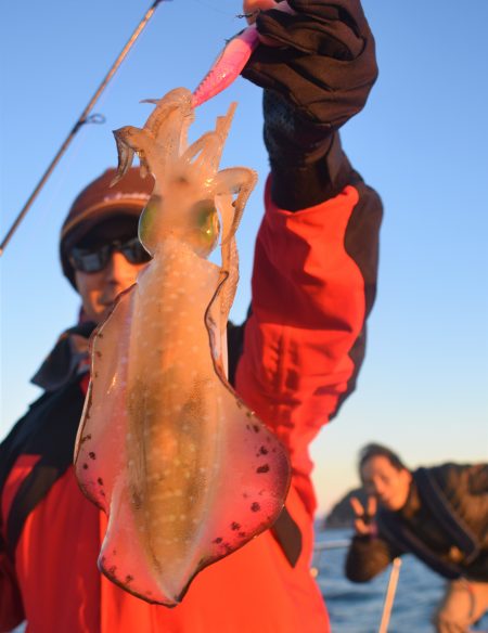 Fisherman Dreams DI 釣…