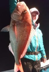愛海丸 釣果