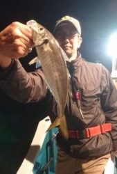 愛海丸 釣果