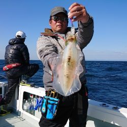 フィッシングボートACE（エース） 釣果