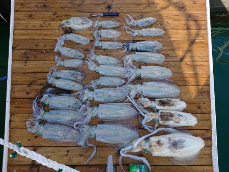 フィッシングボートACE（エース） 釣果