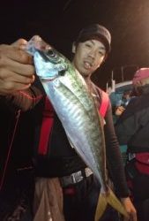 愛海丸 釣果