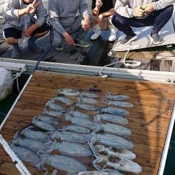 フィッシングボートACE（エース） 釣果