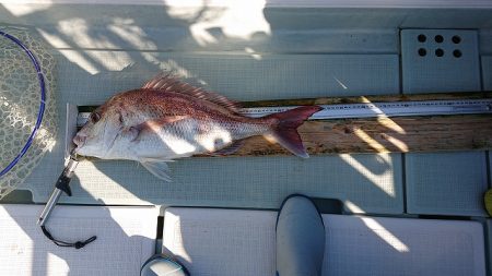 フィッシングボートACE（エース） 釣果