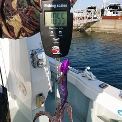 フィッシングボートACE（エース） 釣果