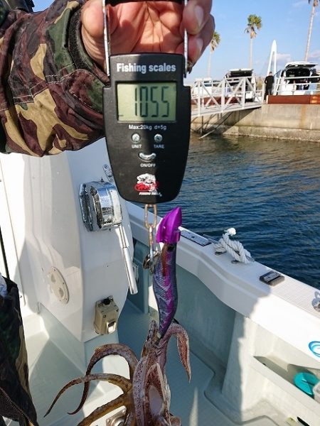 フィッシングボートACE（エース） 釣果