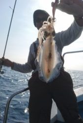 愛海丸 釣果