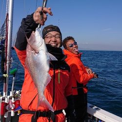 フィッシングボートACE(エース) 釣果