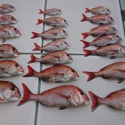 フィッシングボートACE(エース) 釣果