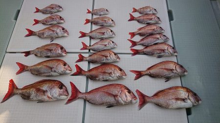 フィッシングボートACE(エース) 釣果