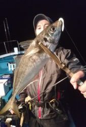 愛海丸 釣果