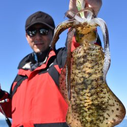 Fisherman Dreams DI 釣果