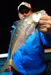 愛海丸 釣果