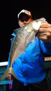 愛海丸 釣果