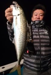 愛海丸 釣果
