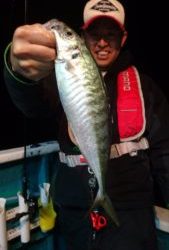 愛海丸 釣果