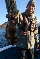 愛海丸 釣果